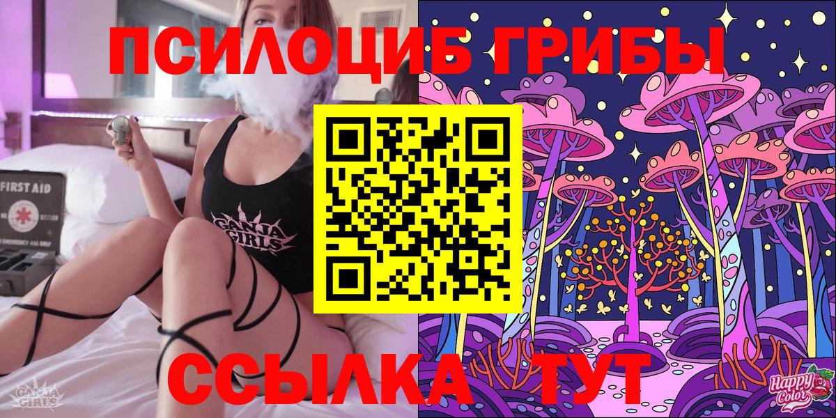 Галлюциногенные грибы Psilocybine cubensis  Галлюциногенные грибы прущие грибы  Реутов  Вход с VPN 